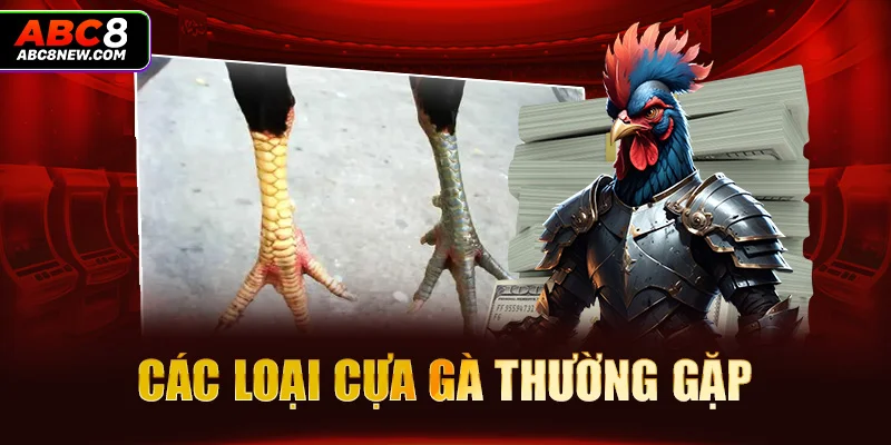 Các loại cựa gà thường gặp