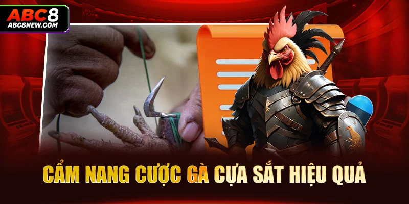 Cẩm nang cược gà cựa sắt hiệu quả