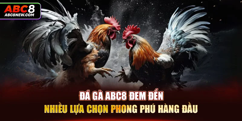 Đá gà ABC8 đem đến nhiều lựa chọn phong phú hàng đầu