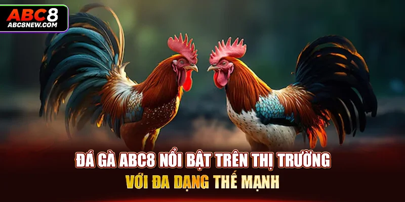 Đá gà ABC8 nổi bật trên thị trường với đa dạng thế mạnh