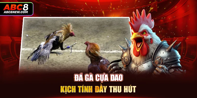 Đá gà cựa dao kịch tính đầy thu hút