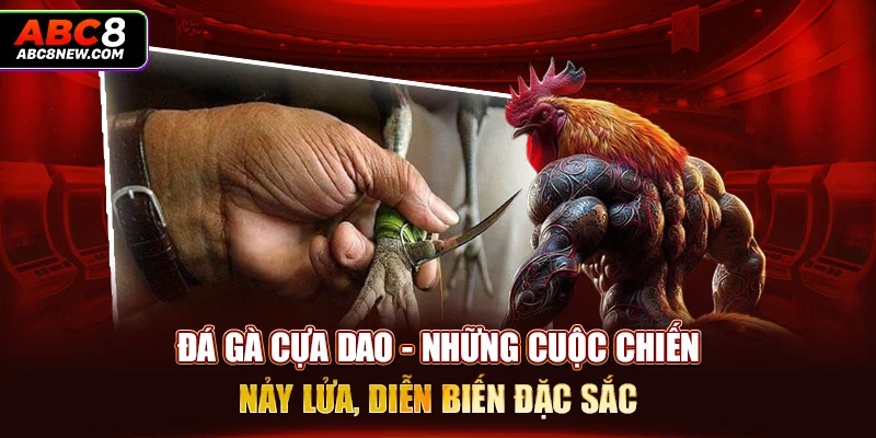 Đá Gà Cựa Dao - Những Cuộc Chiến Nảy Lửa, Diễn Biến Đặc Sắc