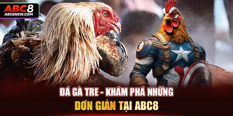 Đá Gà Tre - Khám Phá Những Trận Đấu Hấp Dẫn Ngay Tại ABC8