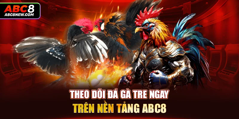 Theo dõi đá gà tre ngay trên nền tảng ABC8